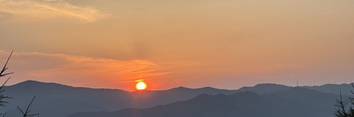 老专家 banner