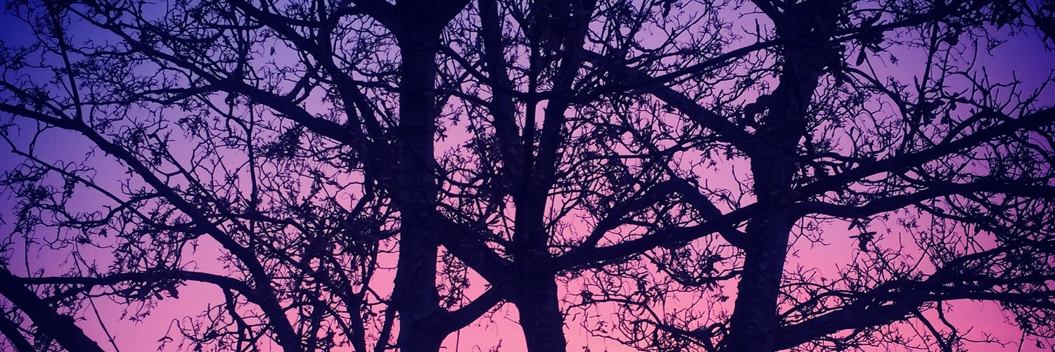 Adrienne Fitzgerald banner