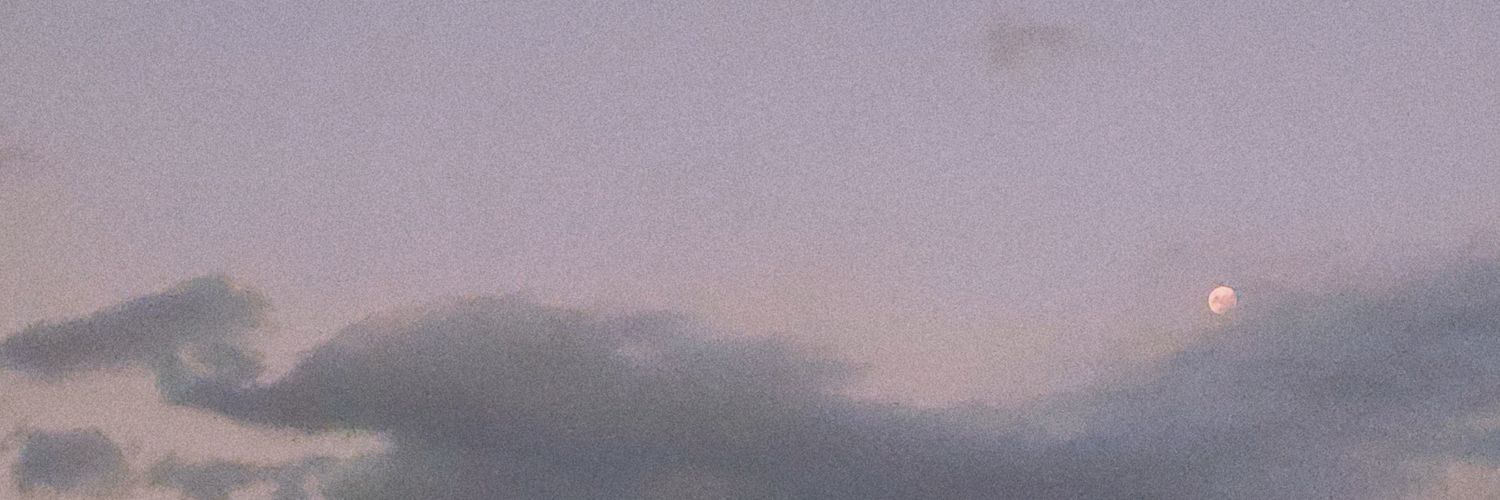 fiore_becchio's profile banner image