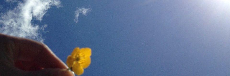 fubuki0122's profile banner image