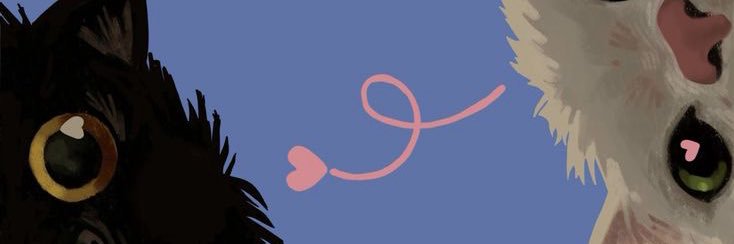 andy__vl__'s profile banner image