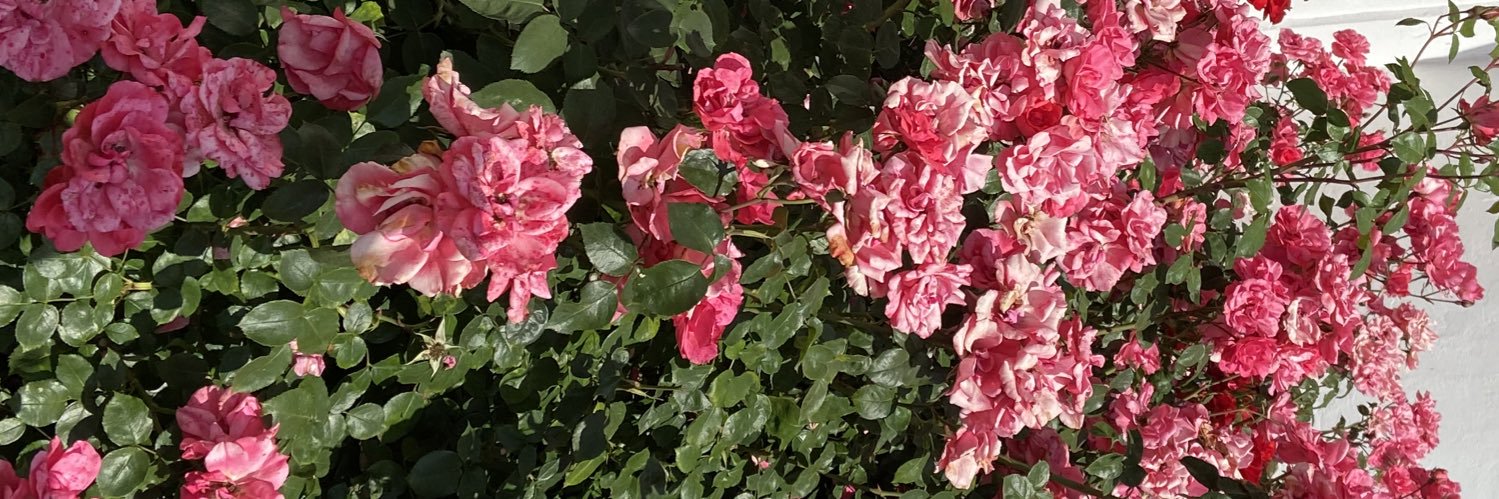Danielagc95's profile banner image