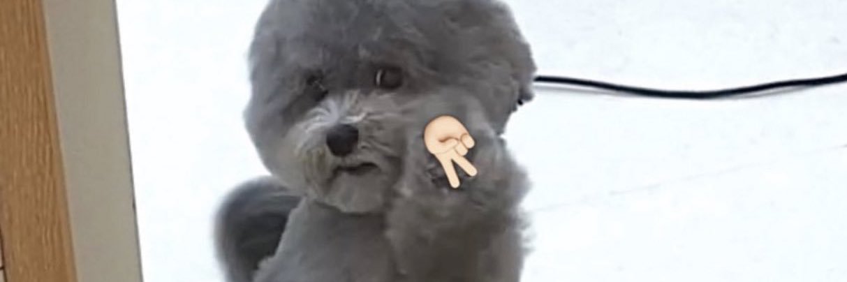 tadayoshi911now's profile banner image
