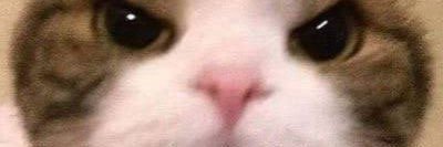 Quenn_x_'s profile banner image