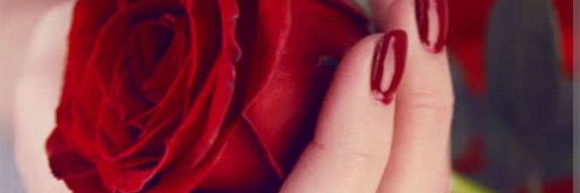 anizaatifa's profile banner image