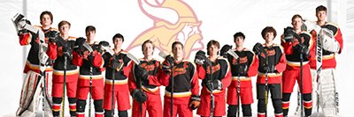 WC East Ice Hockey banner