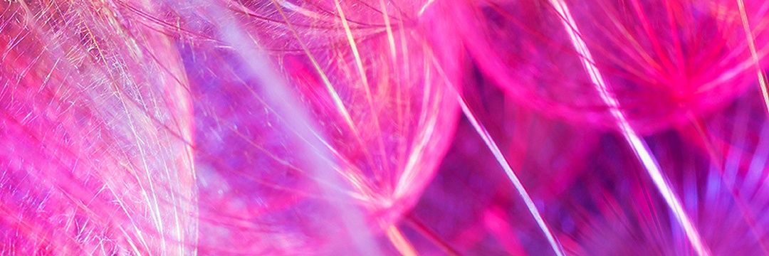 aidr1147's profile banner image