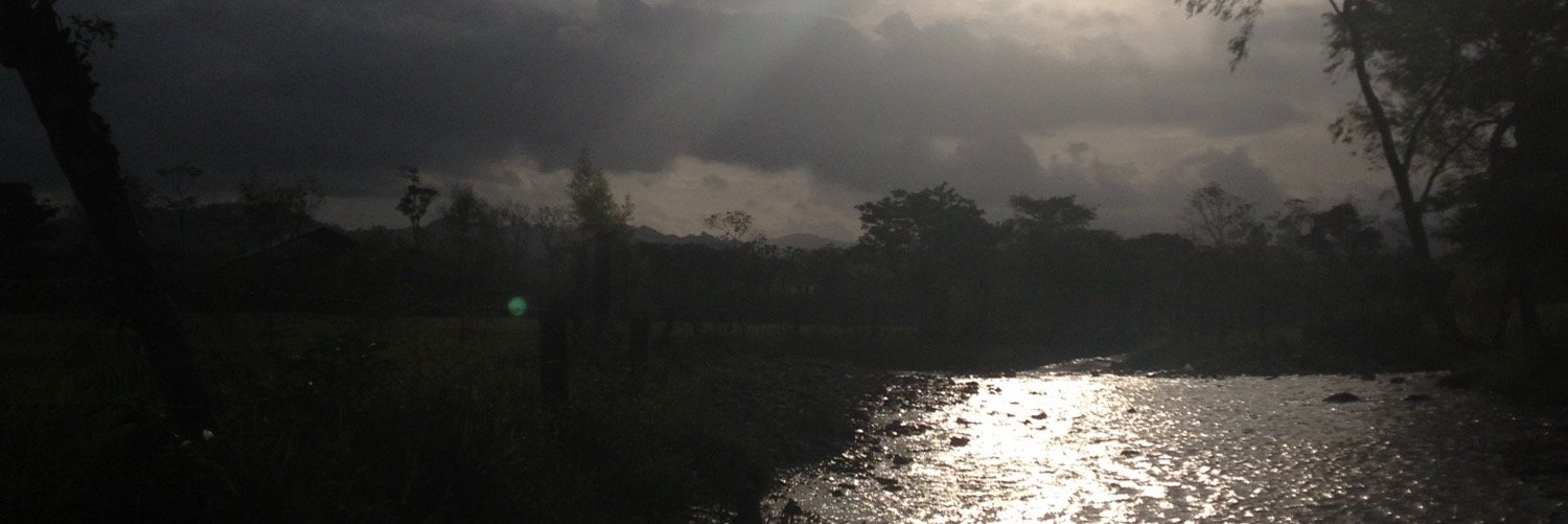 Tracey_Hardwick's profile banner image