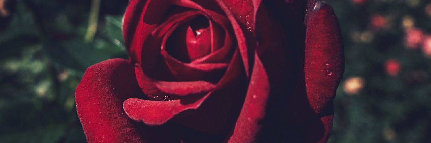 ihellboyftw's profile banner image
