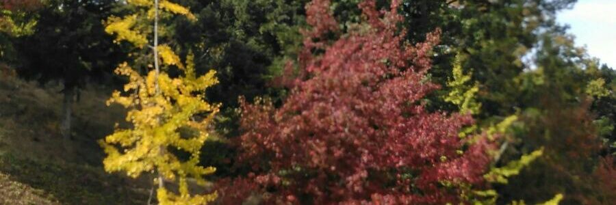 iria35's profile banner image