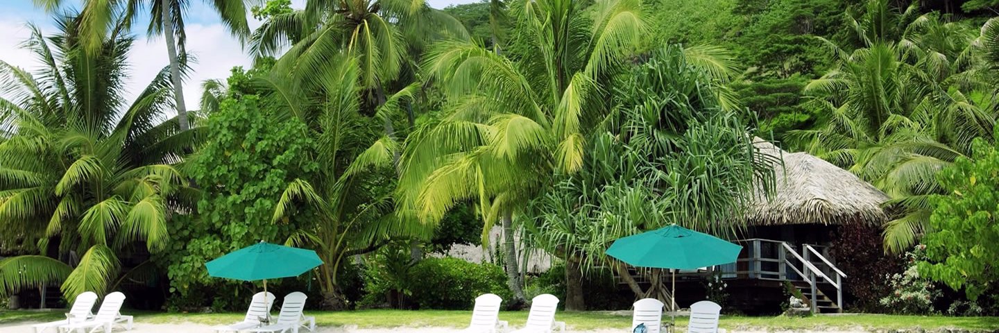 it_pathak's profile banner image