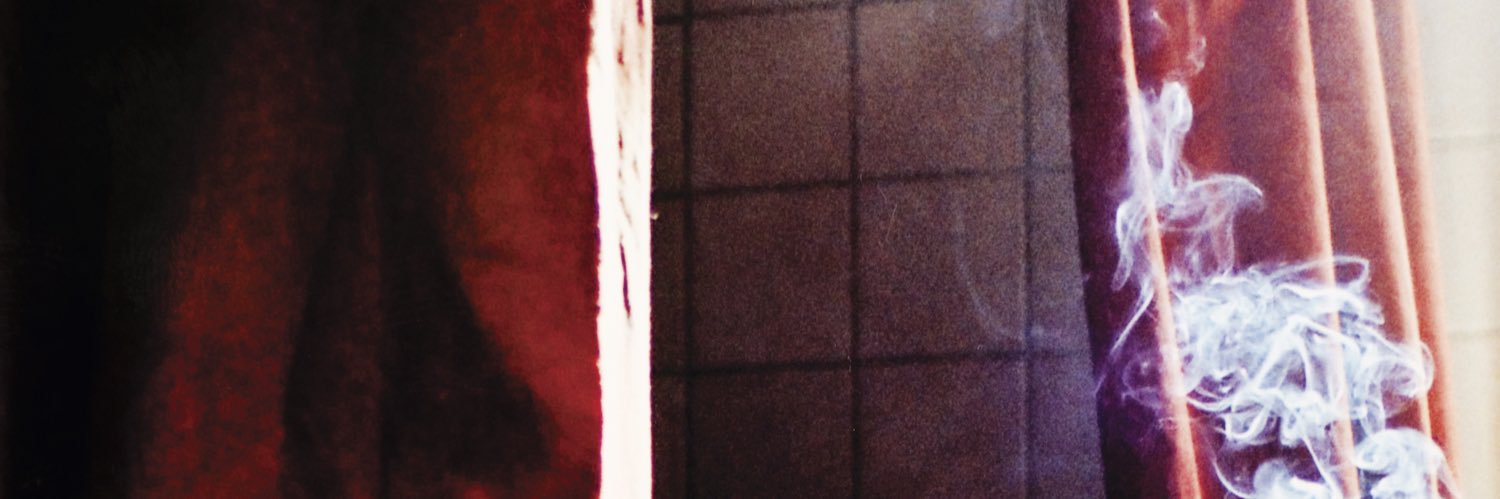 lenulomu's profile banner image