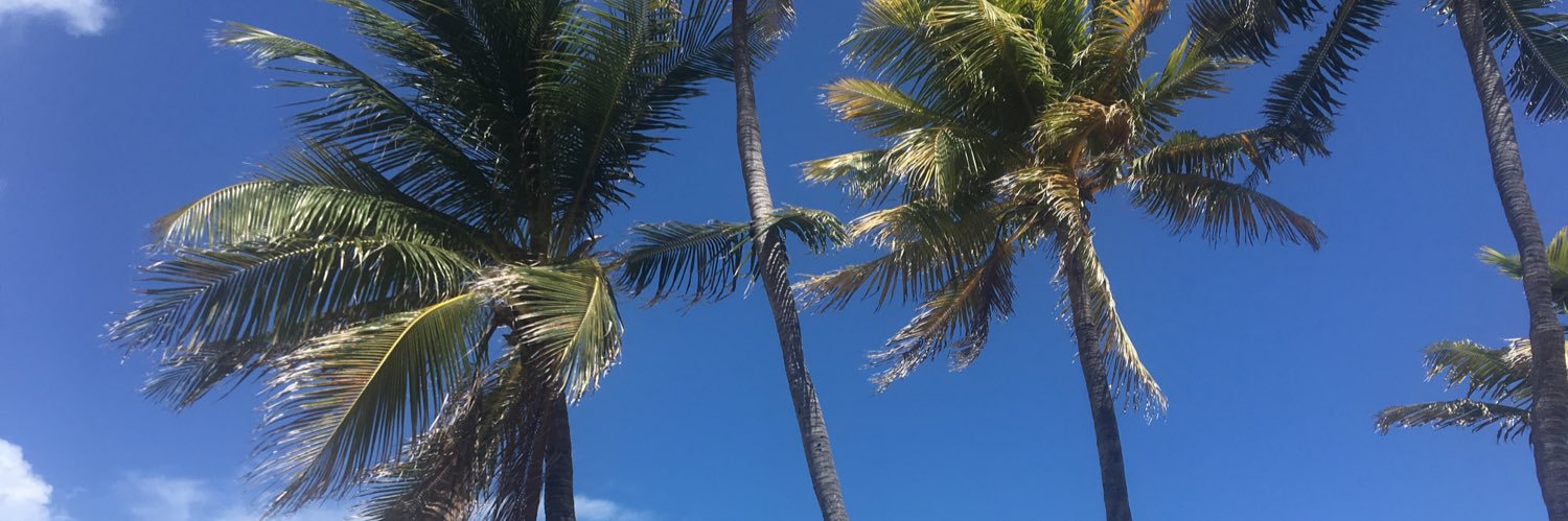 caaseeydwyer's profile banner image