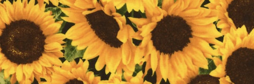 torrleigh's profile banner image