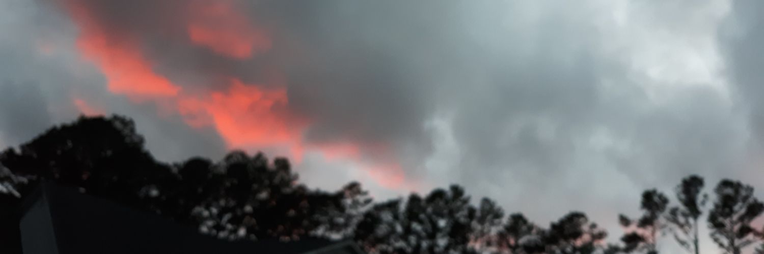 BriWrobel's profile banner image