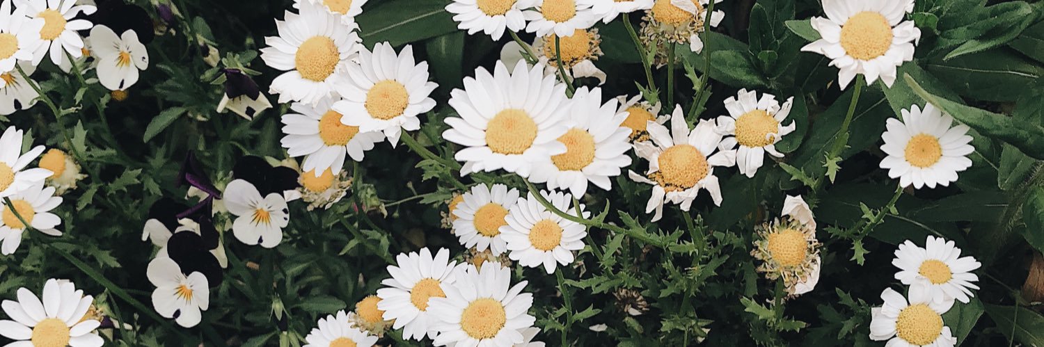 ʙᴀʙʏɪᴛ’sʏᴏᴏ 🍋 banner