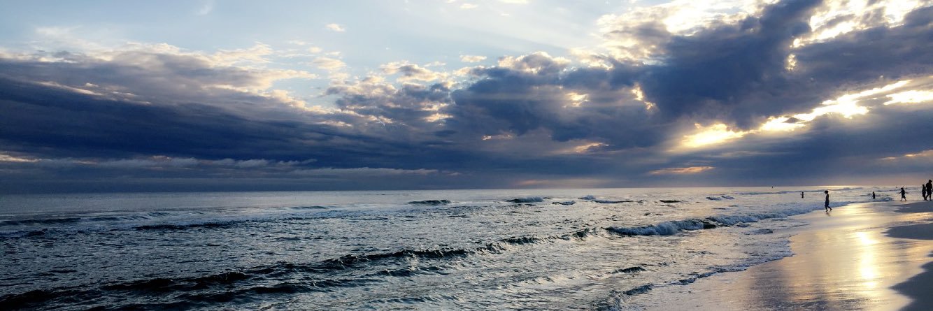 Julia B banner