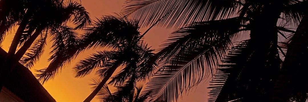 LorenaGarciaAti's profile banner image