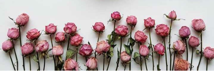 Mnoo5591's profile banner image