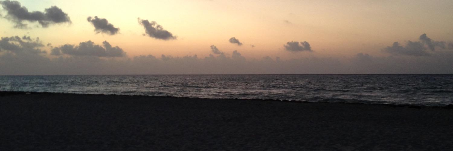 Jennifer Porter, PhD banner