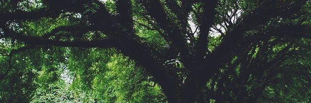 eudemarte's profile banner image