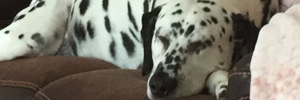 Trouty41 Profile Banner