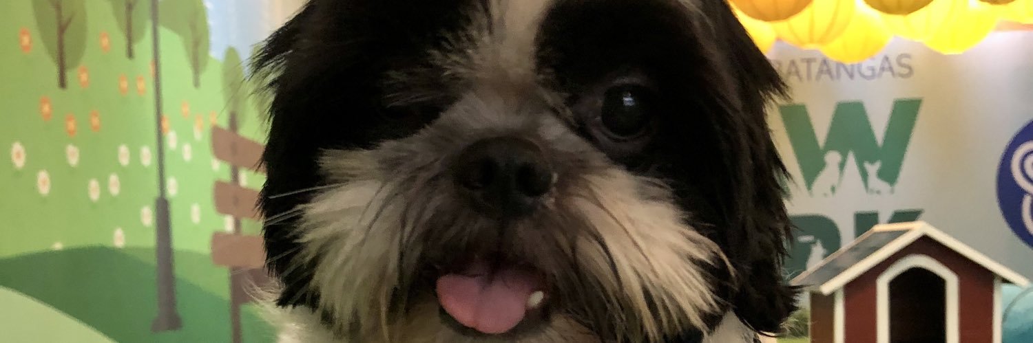 sjniah_'s profile banner image