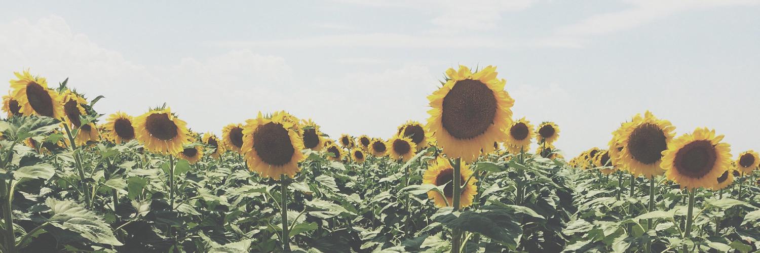 jami_trevathan's profile banner image