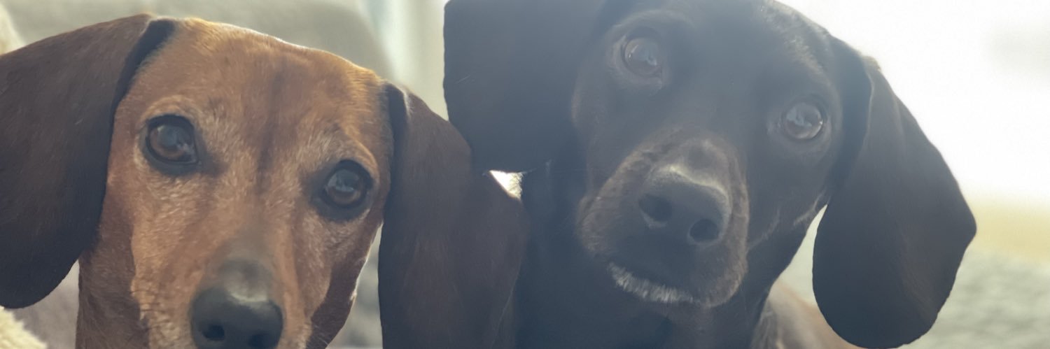 diegofernandz21's profile banner image