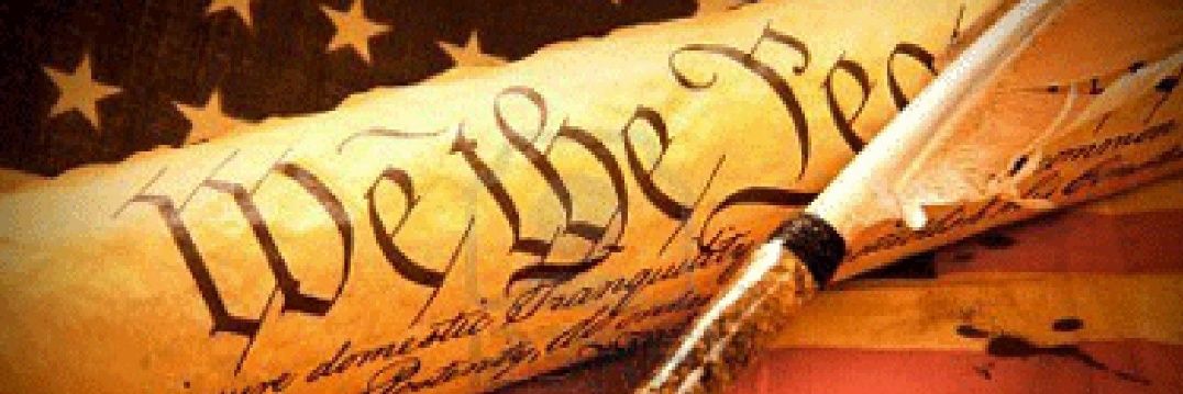 Terri D Collins 🇺🇸 ⚾️ banner