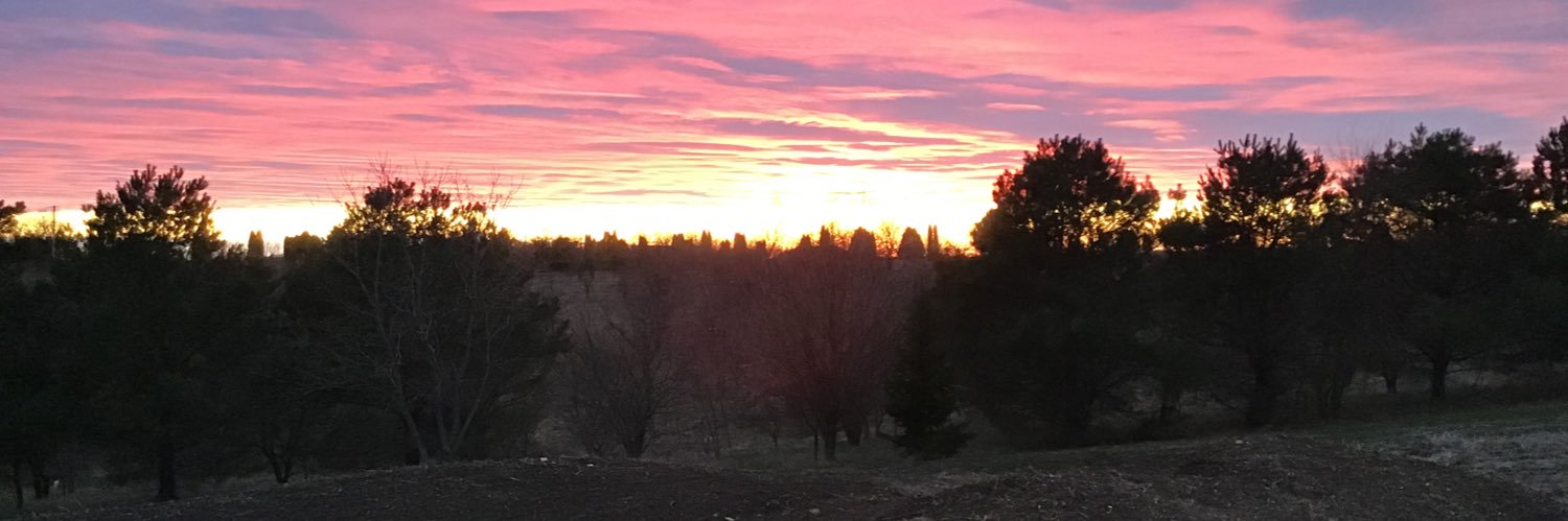 KyleShrader2's profile banner image
