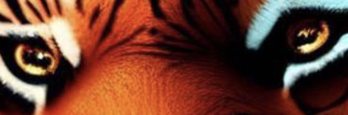 jcamucam's profile banner image
