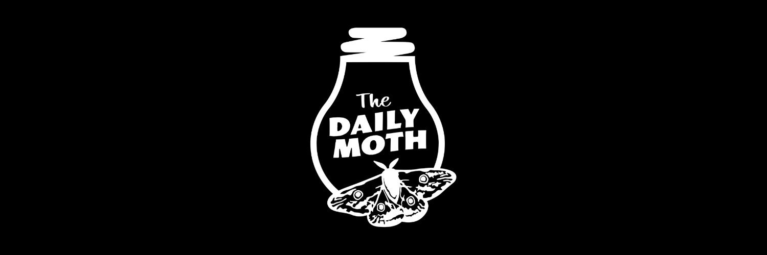 thedailymoth's profile banner image
