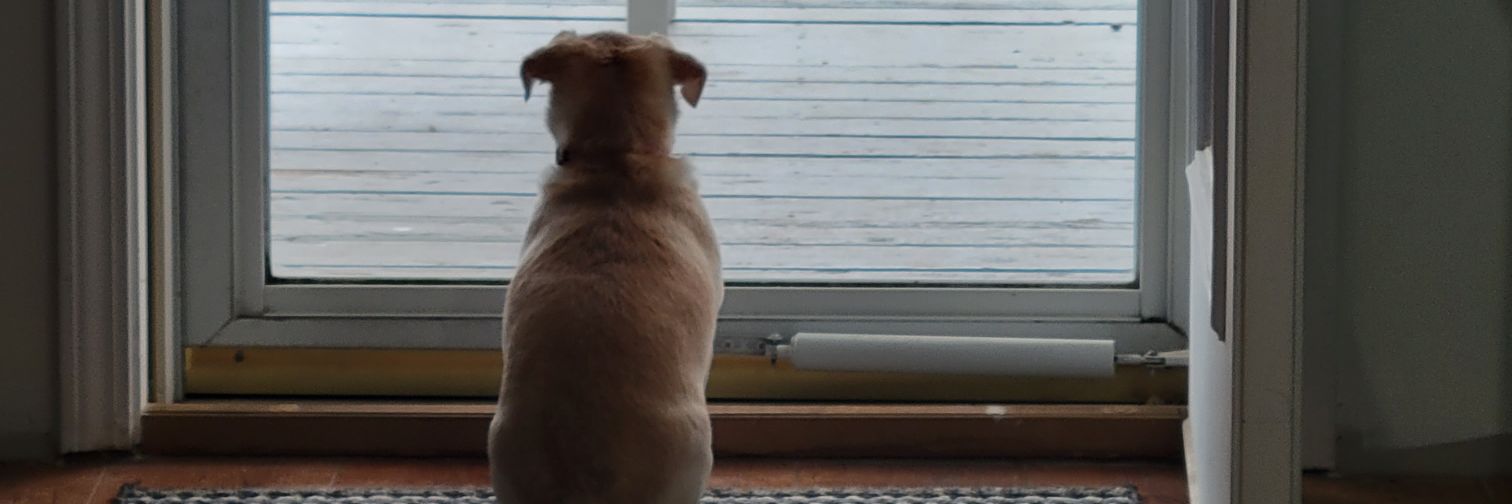 MikeMarasco1's profile banner image