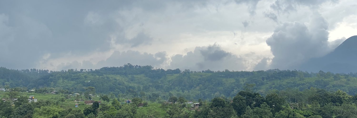 dilacozy's profile banner image