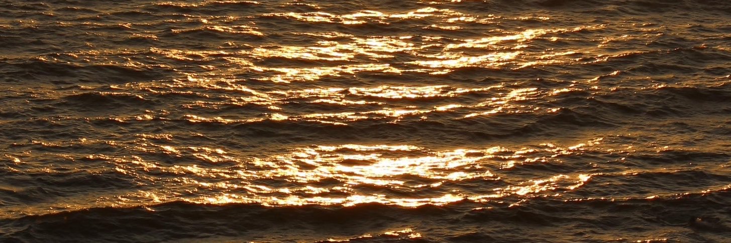 Almudena_Rosell's profile banner image