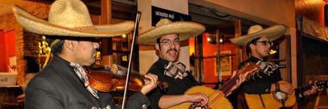 EdgarVaj's profile banner image