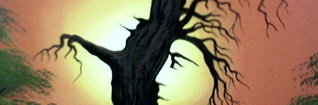 mapambuco's profile banner image