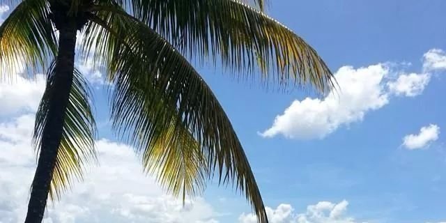 Kekis_Vale's profile banner image