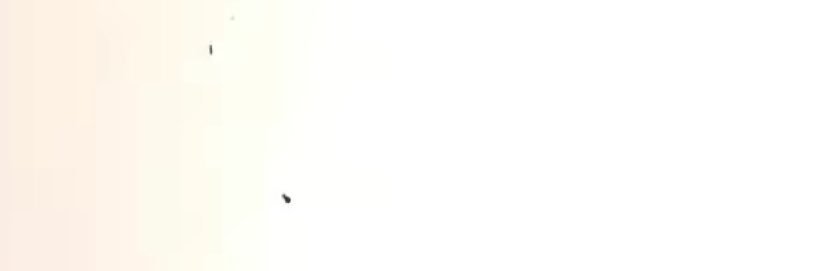 . banner