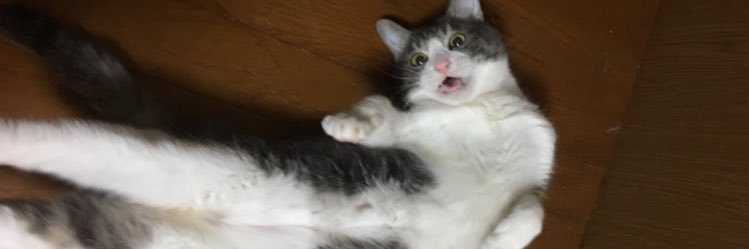 maiiiam23's profile banner image