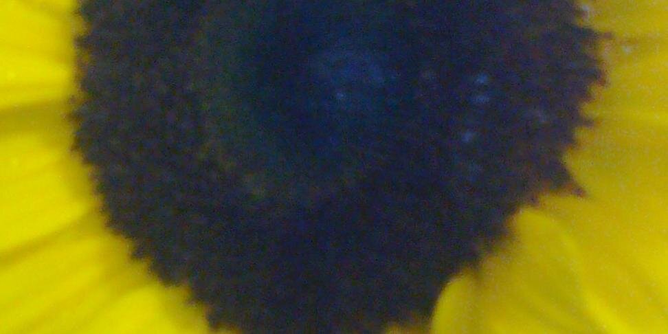 NickyMendoza1's profile banner image