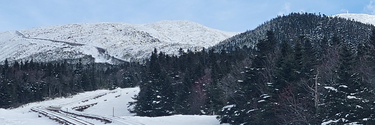 gorgeouslemons's profile banner image