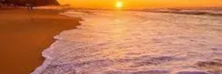 hotbeebutterfly's profile banner image