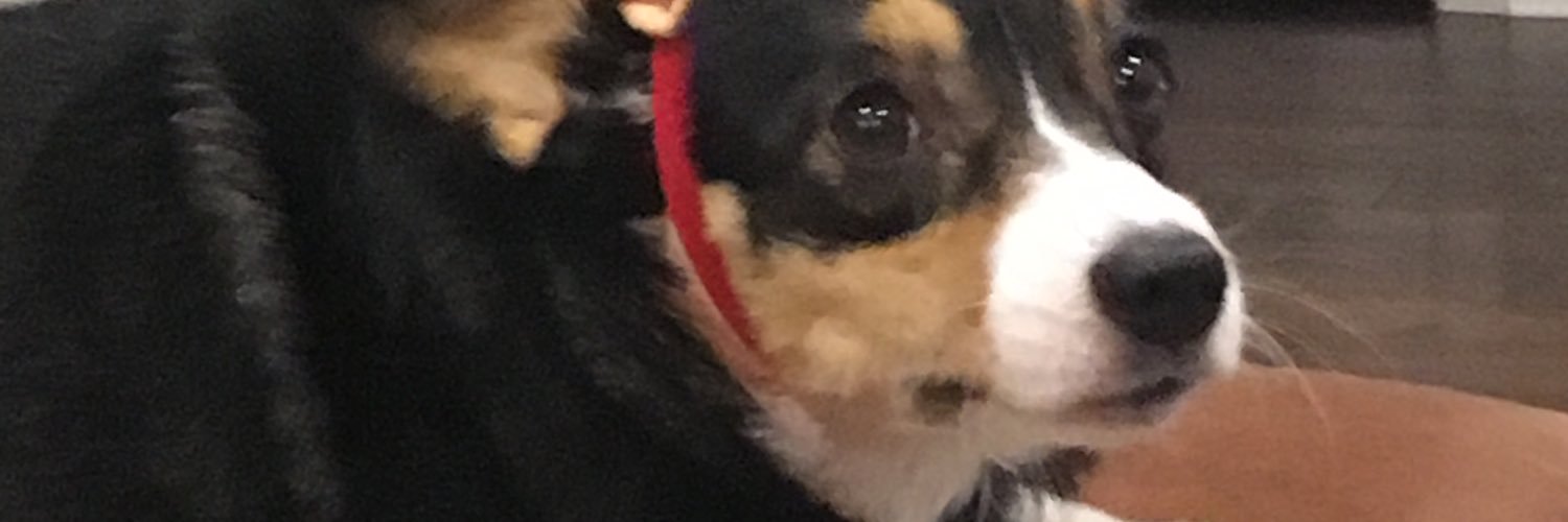 Hibbster32's profile banner image