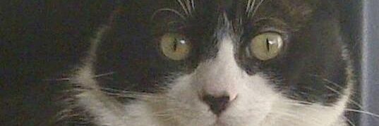 Fernando Monsalve banner