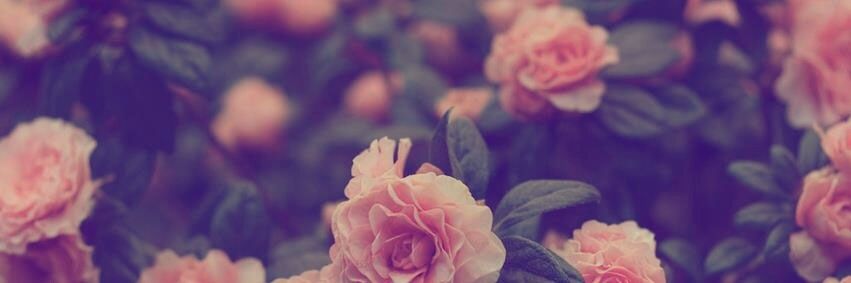 QG_16's profile banner image