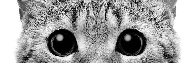 mashhoor35355's profile banner image
