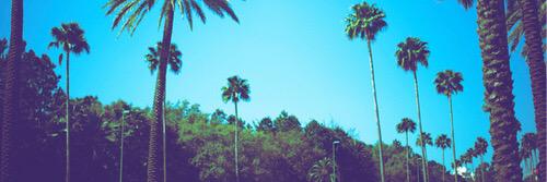 empiregraphicss's profile banner image