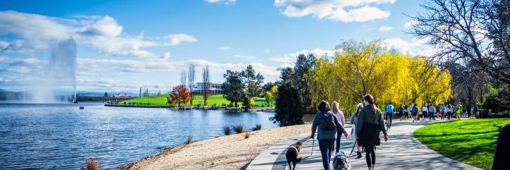 Michael O'Rourke banner